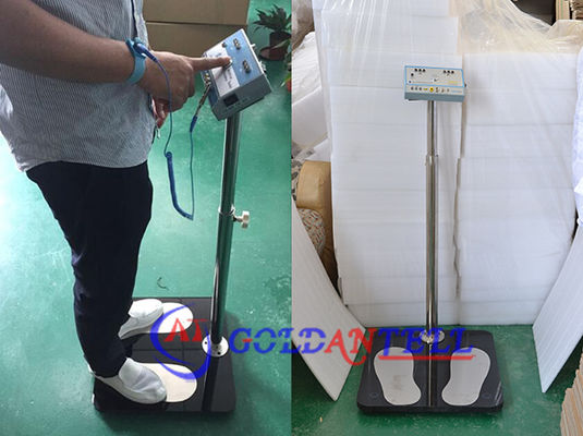 Stainless Steel 304 ESD Turnstile Gate with 24 Months Warranty and 1200*280*1000 mm Dimensions